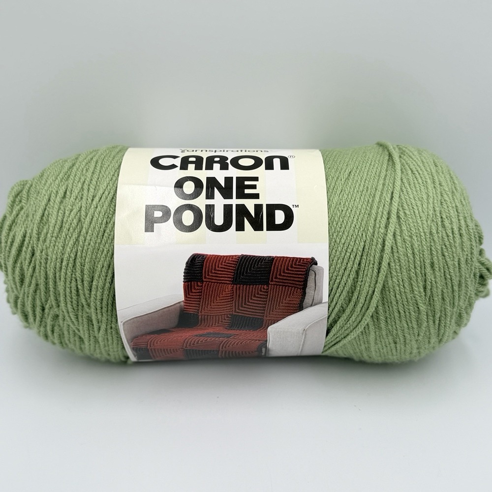 Caron One Pound Yarn Succulent Green 10655 16oz 812 Yds Medium 4 Acrylic Skein